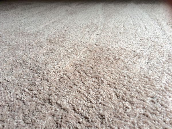 Plush Carpet Installation in Pleasant Grove