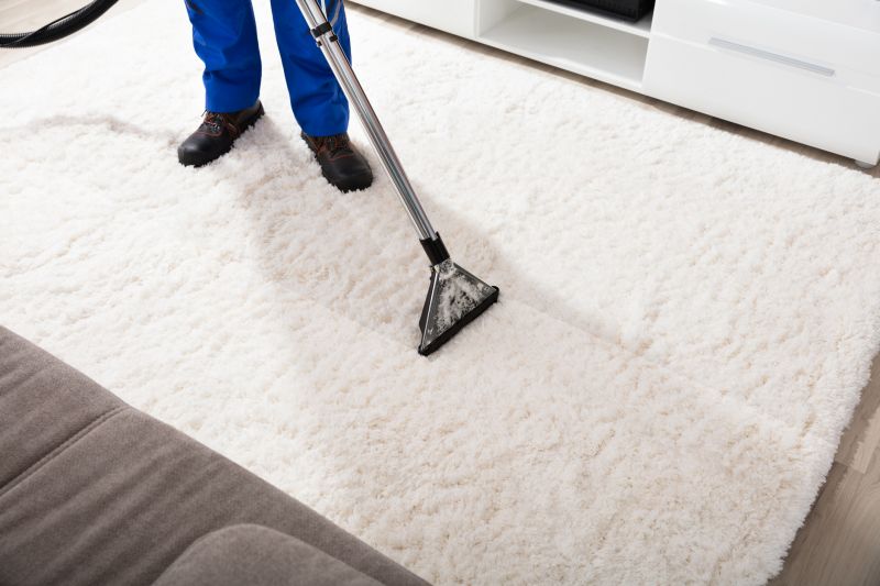 Bedroom Carpet Cleaning